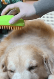 Escova a vapor elétrica para cães e gatos